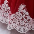 thumbnail image 6 of Fgnfyis Toddler Princess Dress Fashion Lace Bowknot Flower Long Sleeve Pageant Party Wedding Formal Girl Dresses 6-12 Months, 6 of 9