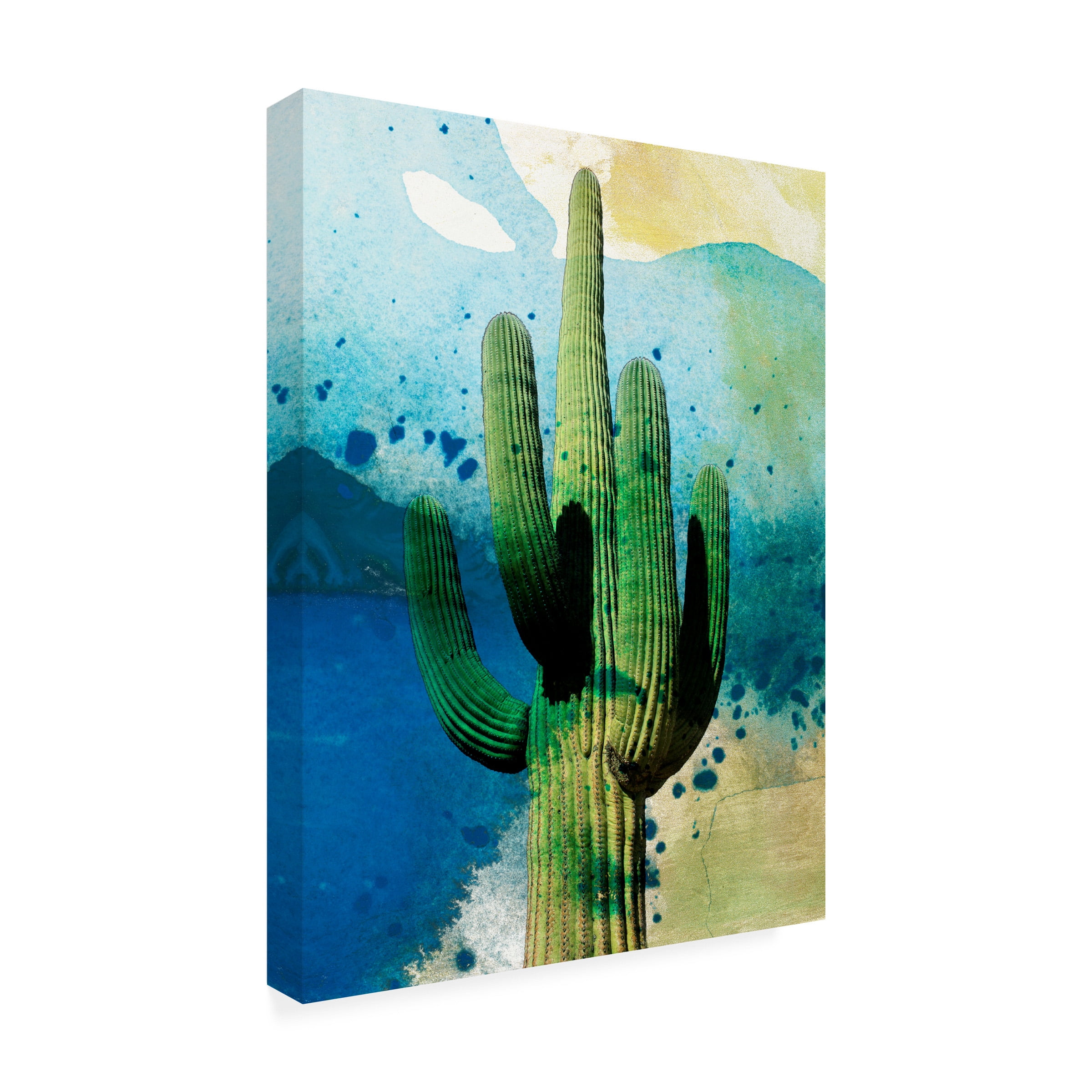 Sisa Jasper 'Cactus Abstract' Outdoor Canvas 47x47