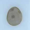 thumbnail image 1 of 25x20mm Polished Druzy, 1 of 1