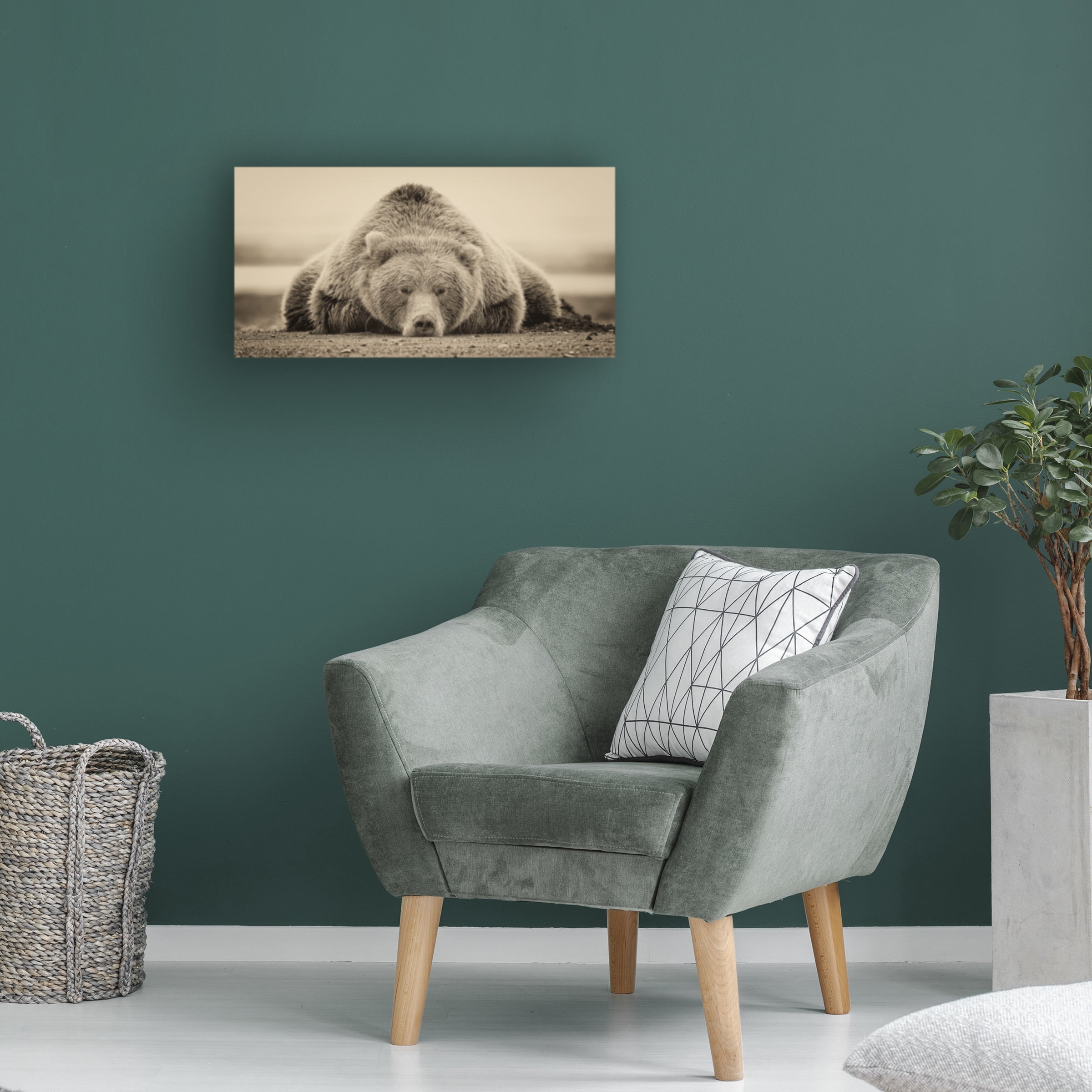 Trademark Fine Art Phburchett Deep Sleep Canvas Wall Art - 16x32