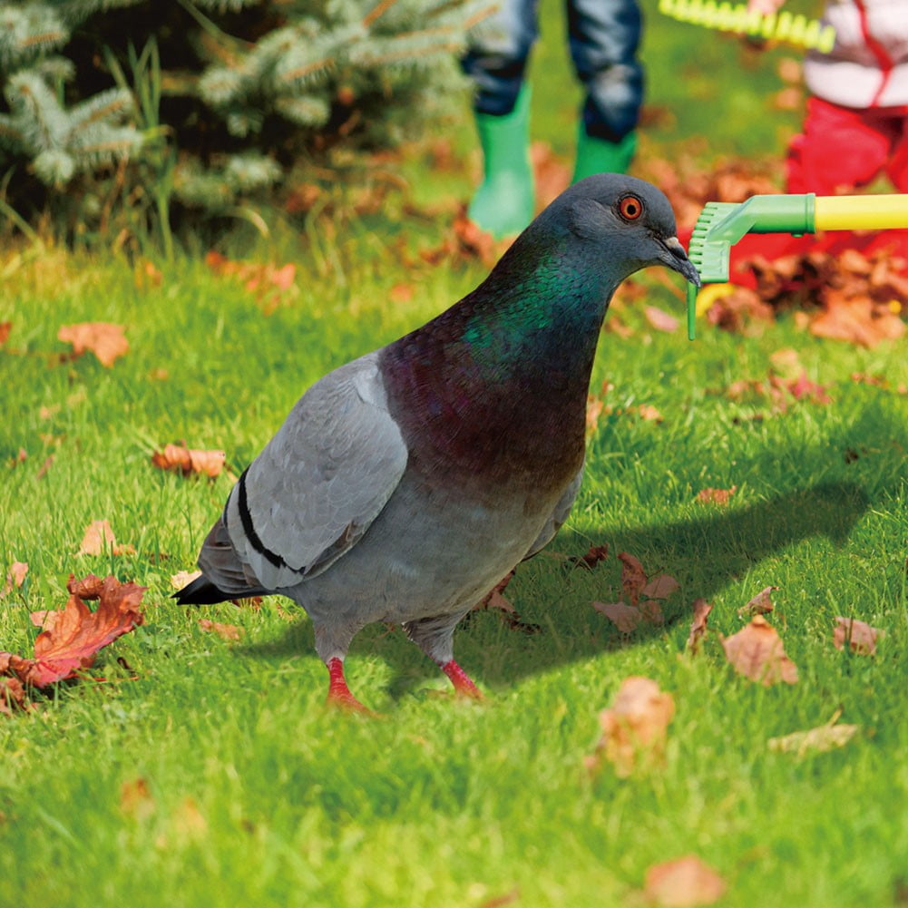Statue De Pigeon De Jardin En Acrylique 2D – Résistante Aux Intempéries – Décoration Extérieure Réaliste – Lot De 2