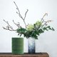 thumbnail image 4 of 6 Paquetes de Bloques Redondos Espuma Floral, Floral 6,5 Pulgadas para Flores Artificiales Bodas, Pasillos, Flores, DecoracióN Fiestas., 4 of 7