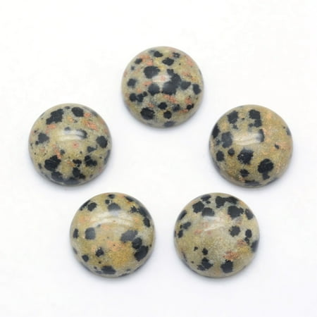 Natural Dalmatian Jasper Cabochons Half Round 10x4~5mm
