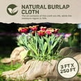 thumbnail image 2 of DeWitt Natural Burlap Roll 5.5 oz, Versatile Use Medium-Weave Jute Fabric, 3 x 250 Feet, 2 of 6