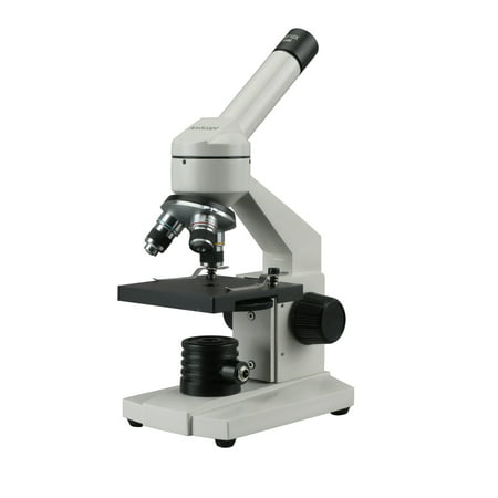 AmScope 40X-1000X Biological Science Student Compound Microscope (Best Student Microscope Review)
