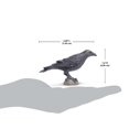 thumbnail image 3 of Safari S150829 Wings Of The World Raven Miniatura De Plástico En Miniatura, 3 of 5