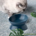 thumbnail image 3 of Tnobhg Elevated Dog Cat Food Bowl Smooth Easy to Clean Anti-Vomiting 15-Degree Raised Tilted Pet Water Bowl Pet Supplies, 3 of 8