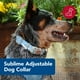 thumbnail image 2 of Collar para perro Coastal Sublime ajustable Blue Waves 2,5 x 30-46 cm, 2 of 7
