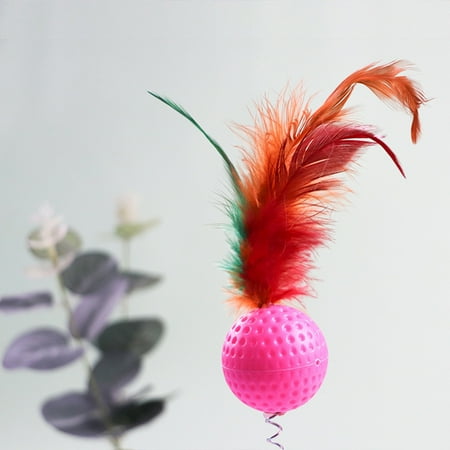 2 Pieces Chat Plume Teaser Ressort Ventouse Animal De Compagnie Jouet Interactif Chat Teaser Jouet Walmart Canada