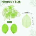 thumbnail image 2 of 100 Pcs Hojas de Esqueleto Verde Hierba, 2"- 3" Hojas Prensadas de Árbol de Caucho para Álbumes de Fotos Manualidades, 2 of 7