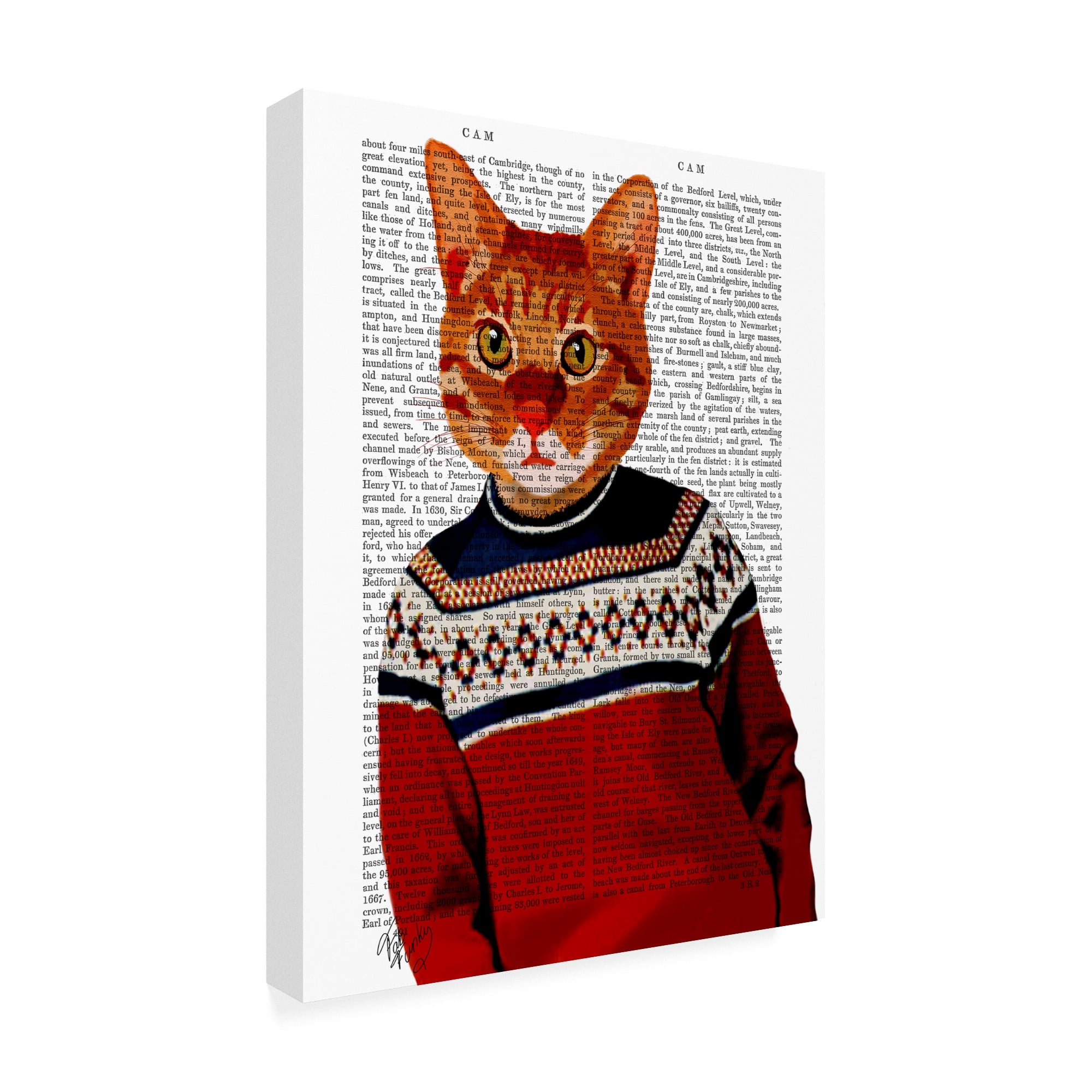 Trademark Fine Art 'Cat In Ski Sweater' Canvas Art by Fab Funky
