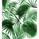 thumbnail image 2 of Juego de Funda Nórdica de Hojas, Hojas Realistas de Palmera Crecimiento Ecología Botánica, 2 of 6