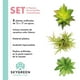 thumbnail image 2 of Paquete De 3 Plantas Pequeñas Artificiales Decoracion Hogar verde 1 Sky Green HJ3P3P010001, 2 of 4