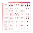thumbnail image 5 of Burt's Bees 100% Natural Moisturizing Lip Gloss, Rosy Dawn, 0.2 Fl. Oz., 5 of 6