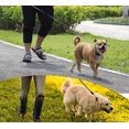 thumbnail image 5 of ZHAOCHENG Correas retráctiles para perros, cuerda de tracción telescópica, adecuada para perros pequeños y medianos de 5 m, máximo 15 kg (azul), 5 of 5