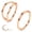 Rose Gold, variant on 2Pcs Titanium Nose Rings for Women: Hypoallergenic Double Hoop Nose Rings Cartilage Earrings Conch Tragus Rook Piercing Jewelry 16G 18G 20G 6MM 8MM 10MM