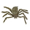 Northlight 24" Brown Spider with LED Eyes Halloween Decoration