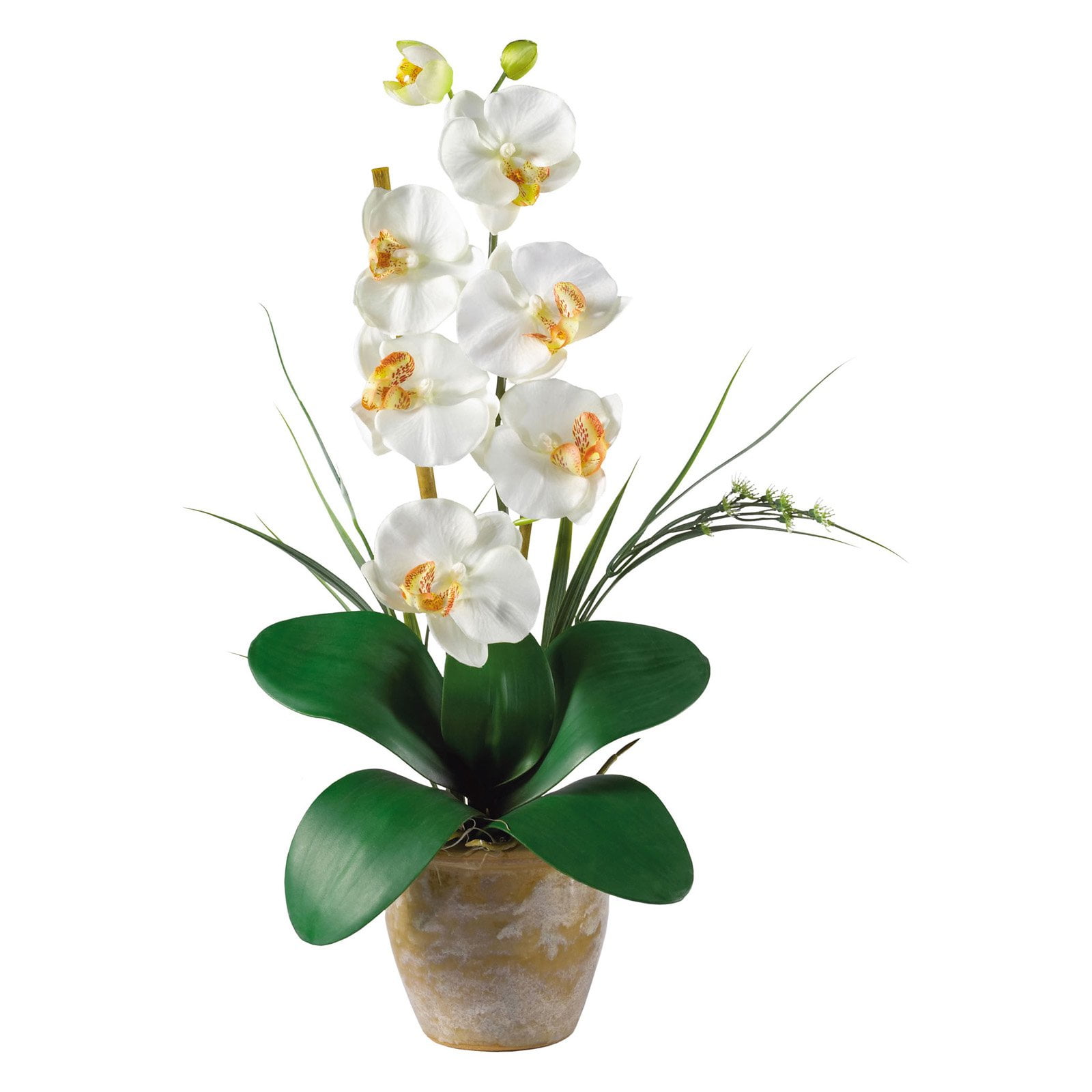 Nearly Natural Phalaenopsis Silk Orchid Flower Arrangement, Cream