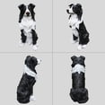 thumbnail image 3 of 9.84" Border Collie Sculpture,High-Quality Resin Material with Smooth Finish,Decorative Statue Suitable for Outdoor Use,Black+White, 3 of 5