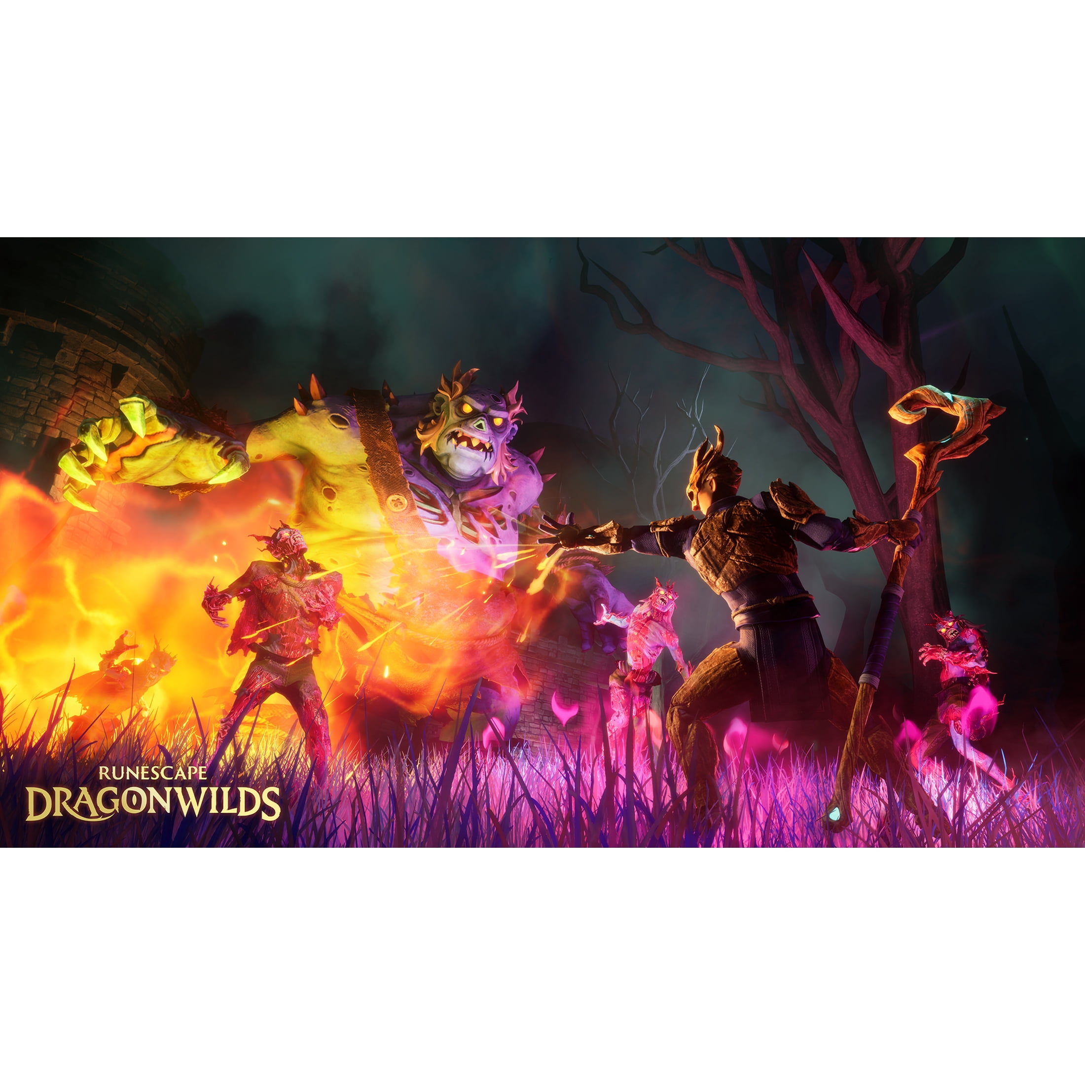 RuneScape: Drangonwilds Deluxe Edition - Xbox Series X Game - Fireshine Games