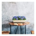 thumbnail image 5 of 1Pack Self Watering Planter Pot,12x3.8x4.6In Resuable Window Box Planter for Home,QZS Rectangle Vegetable Box with Tray for Patio,Garden, 5 of 6