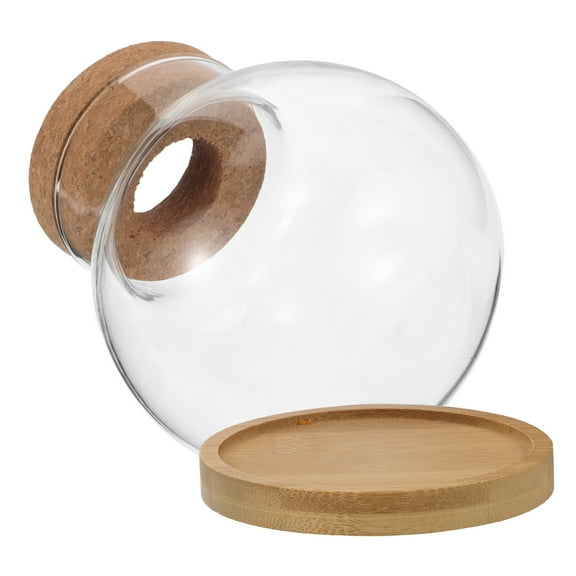 Hemoton 2 Sets Decorative with Lids, Terrarium Bowls for Hydroponic Plants, Glass Plant Bottles for Home and Garden