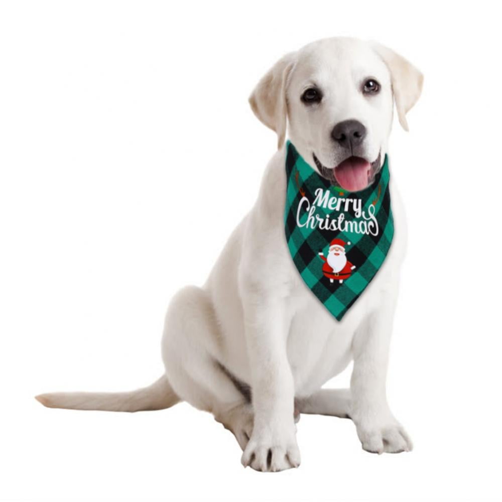 cyber monday puppies