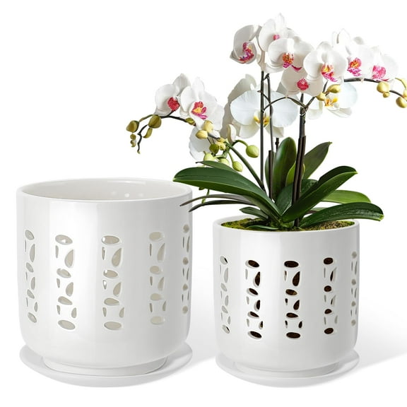 BUYMAX 6 & 5 Inch White Ceramic Orchid Pots – Set of 2 with 2 Bottom Trays, Drainage Holes, Indoor/Outdoor Planters for Repotting and Root Ventilation