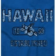 thumbnail image 2 of Hawaii Hibiscus Flower Distressed HI Unisex Plus Fleece Graphic Hoodie Brisco Brands 2X, 2 of 5