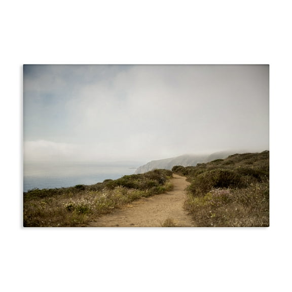 Stupell Industries Wild Coast Pathway Landscape & Nature Photography Wrapped Canvas Art Print Wall Art, 24 x 16
