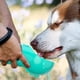 thumbnail image 3 of Botella de agua, vaso y dispensador de bolsas para desechos para perros 3 en 1, a prueba de fugas, para caminatas y actividades al aire libre., 3 of 8