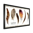 thumbnail image 2 of Designart 'Exotic Vibrant Boho Watercolor Feathers' Bohemian & Eclectic Framed Art Print, 2 of 4