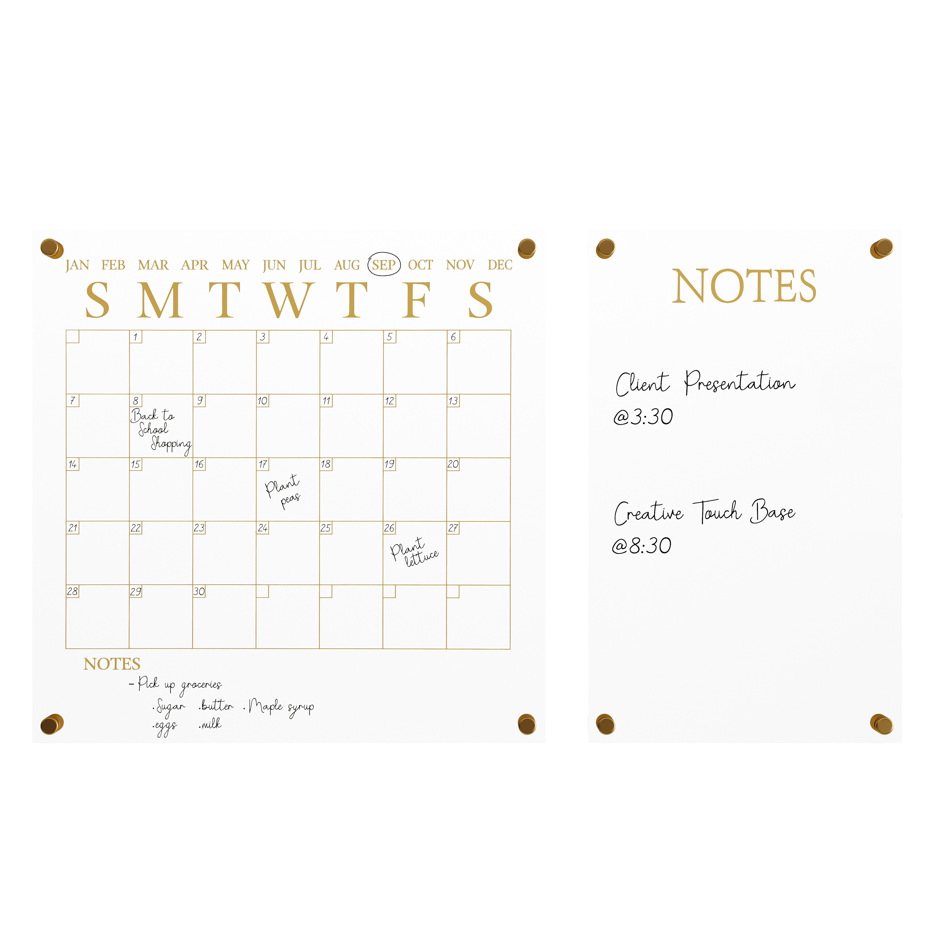 Martha Stewart Premium Acrylic Monthly Wall Calendar and Notes Board - Clear/Gold