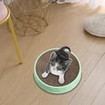thumbnail image 1 of Rascador 2 en 1 para gatos Salvador cama para gatos tumbona cuenco garra de molienda diseño grande redondo de doble cara almohadilla verde, 1 of 10