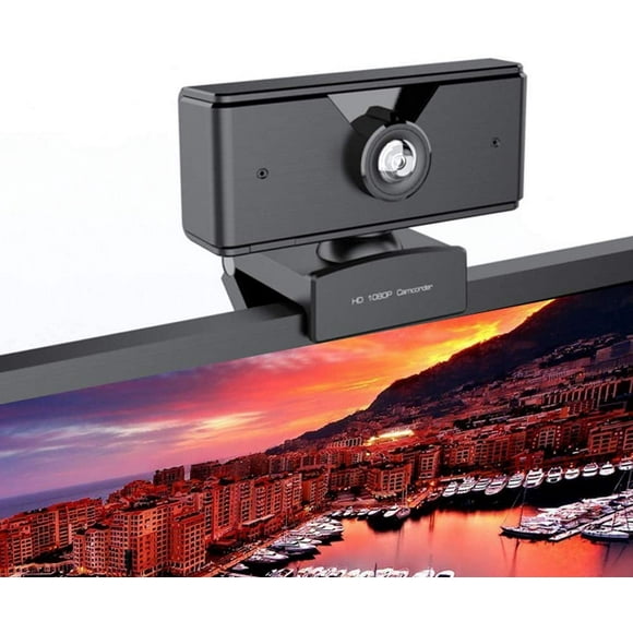 Vivider Caméra Web HD 1080P avec Microphone, Caméra Web USB, Emballage au Détail avec Manuel et Boîte, Noir