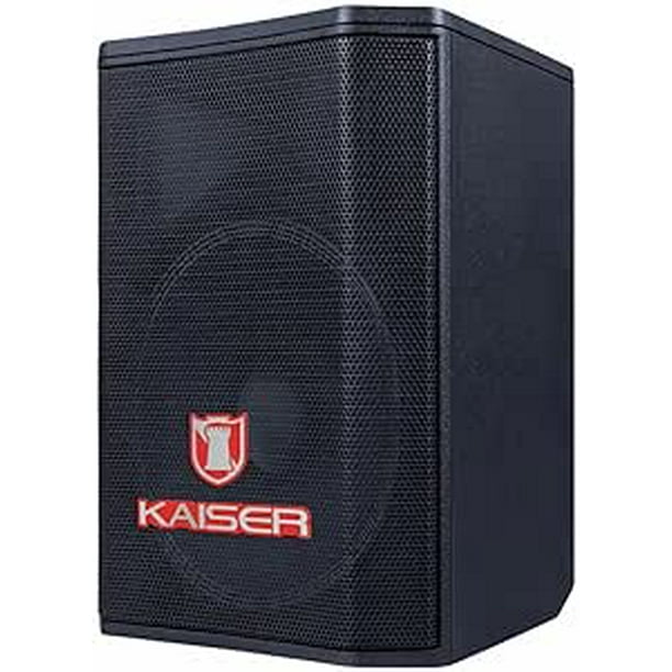 Bafle profesional recargable 8” 12,000 W PMPO