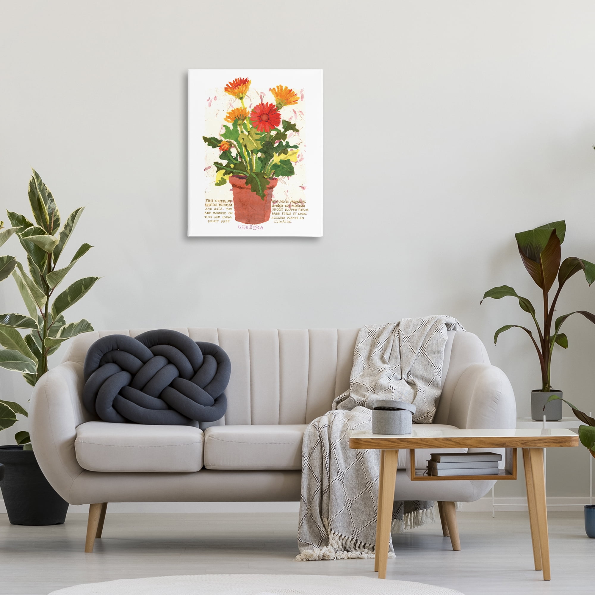 Stupell Industries Potted Gerbera Daisies Botanical & Floral Painting Gallery Wrapped Canvas Art Print Wall Art, 24 x 30