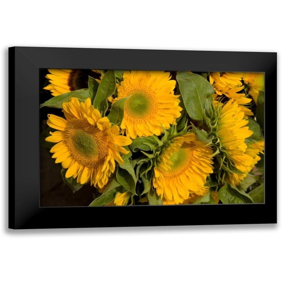 Love, Maureen 14x11 Black Modern Framed Museum Art Print Titled - Sunflower I