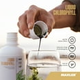 thumbnail image 6 of Maxler Liquid Chlorophyll - Mint Flavor 15.2 fl oz (15 Servings), 6 of 6