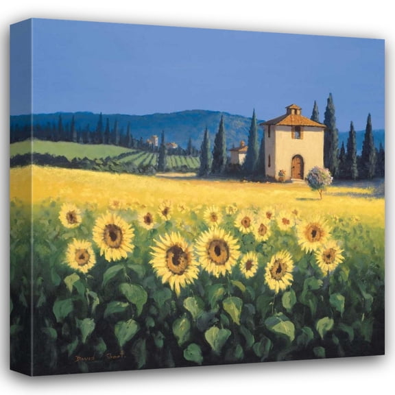 David Short 20x20 Gallery Wrapped Canvas Wall Art Titled - Golden Warmth