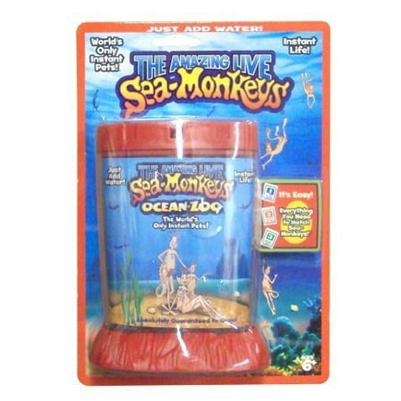Raise A Sea Monkey Kit Walmart Com Walmart Com