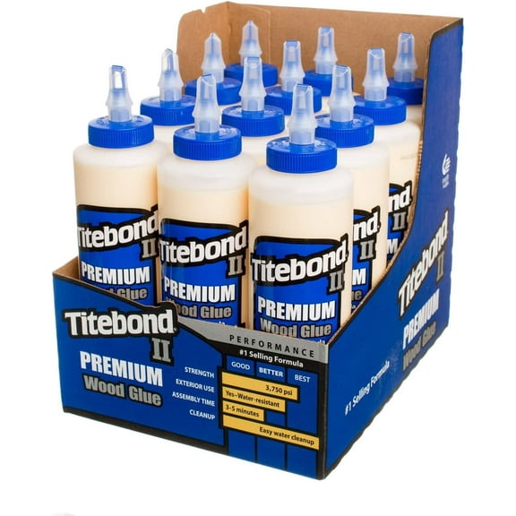 GLUE TITEBOND 2 16 OZ