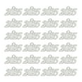 thumbnail image 1 of Encanto de Borlas de Graduación Uxcell 2025, 24 Pcs Encanto de Letra Mediana de Aleación del Año, Plata, 1 of 6