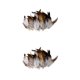 thumbnail image 2 of Advancent 50 Pcs Feather for Hat and Natural DIY Headgear Decor Craft estilo A 2Conjunto, 2 of 6