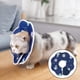 thumbnail image 3 of Collar de recuperación para gatos Sunnimix Cono de cuello S 16-23 cm M 19-25 cm L 25 cm, 3 of 7