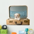 thumbnail image 1 of Tiny Puppy Vintage Suitcase Wall Mural by Wallmonkeys Peel and Stick Graphic (48 in W x 41 in H) WM94848, 1 of 4