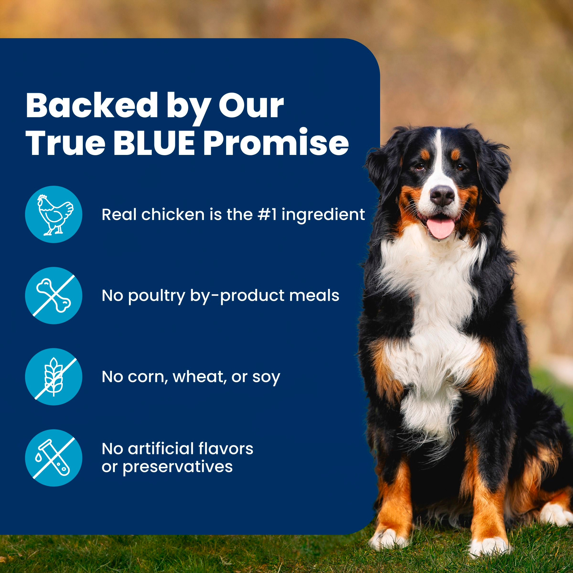 Blue Buffalo Life Protection Healthy Weight Chicken Dog Food photo 8