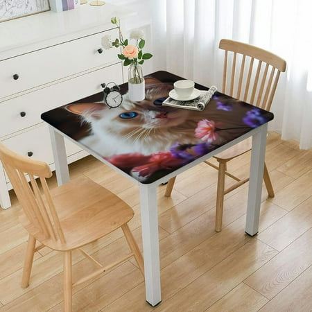 

Blue Eyed Cat quare Table Cover Waterproof Wrinkle Reitant Table Cloth Wahable Kitchen Picnic Dining Table Cloth for Indoor Outdoor Party Holiday