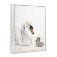 thumbnail image 2 of Stupell Industries Transitional Mother Swan & Cygnet White Framed Giclee Art, 24 x 30, by Sara Baker, 2 of 8
