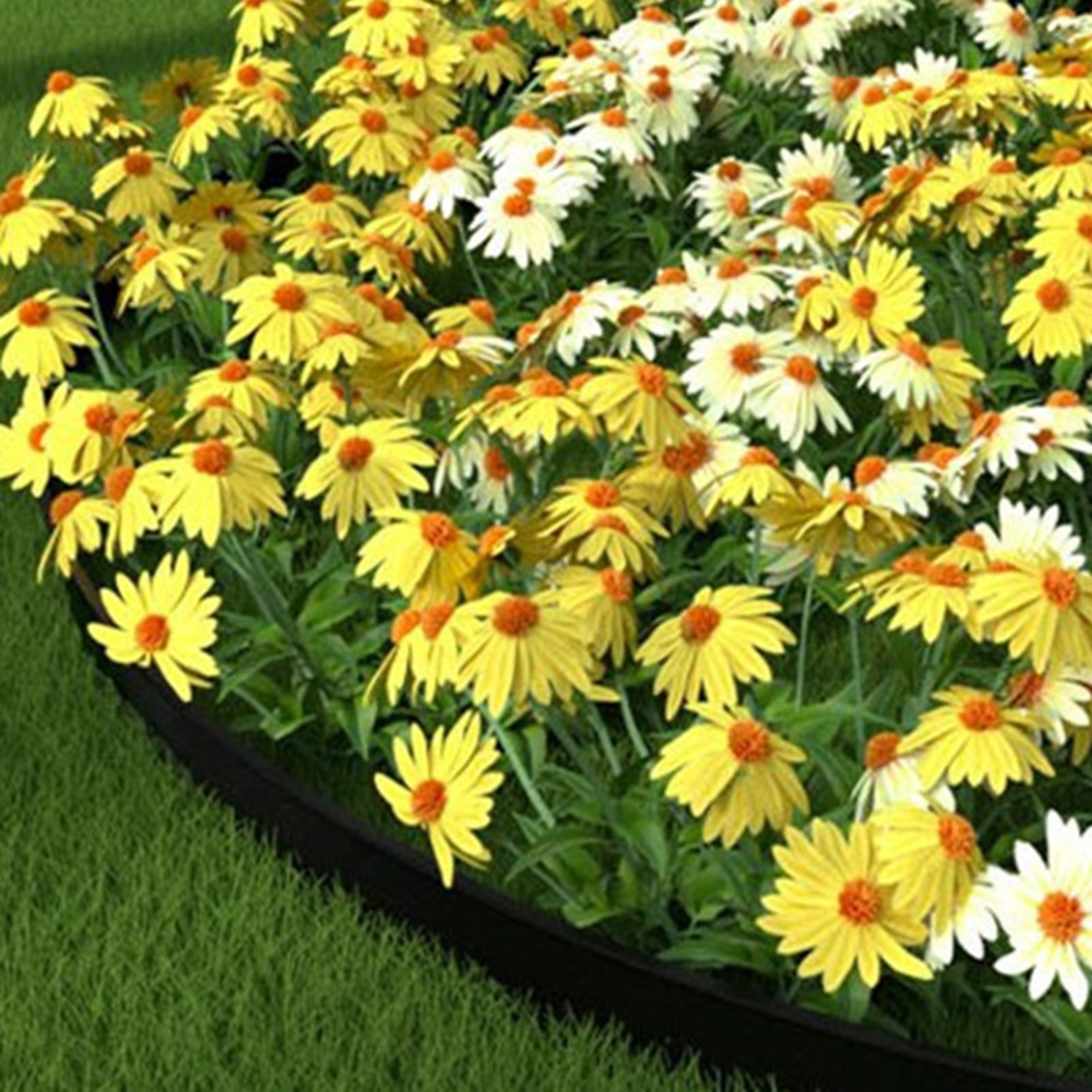 33FT Landscape Edging Border Kit, No Dig, 1.6" Tall Garden Edging Border with 30 Spikes, Plastic Lawn Border Flexible for Garden Flower Bed Edging Lawn Paver Yard Pathway